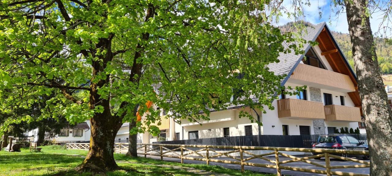 Vila Mojca Apartments Jasna & Jelka Краньска Гора Экстерьер фото